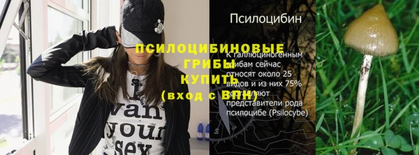 прущие крисы Абинск
