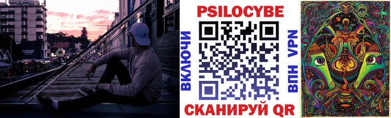 KRAKEN как войти  Никольское  Псилоцибиновые грибы Psilocybe 